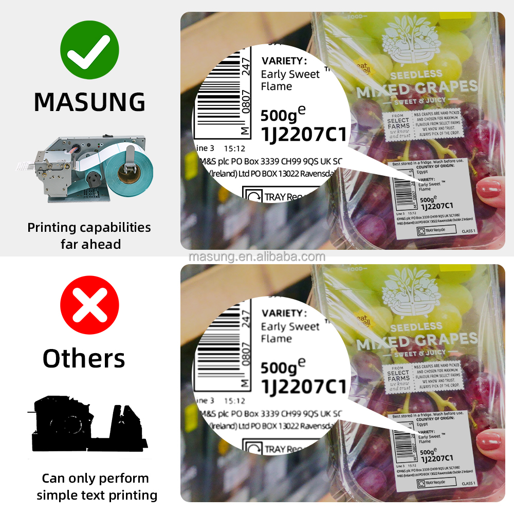 MASUNG MS-LP212A High Speed 58MM Roll To Roll Thermal Shipping Stickers Label Printer ReceiptThermal Label Printer Modules