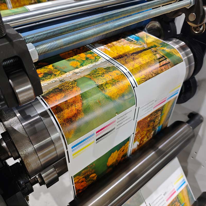 8-Color Flexo Printing Machine with 8 LED UV Automatic Label Printer Letterpress Plate Type for Roll to Roll Paper Printing
