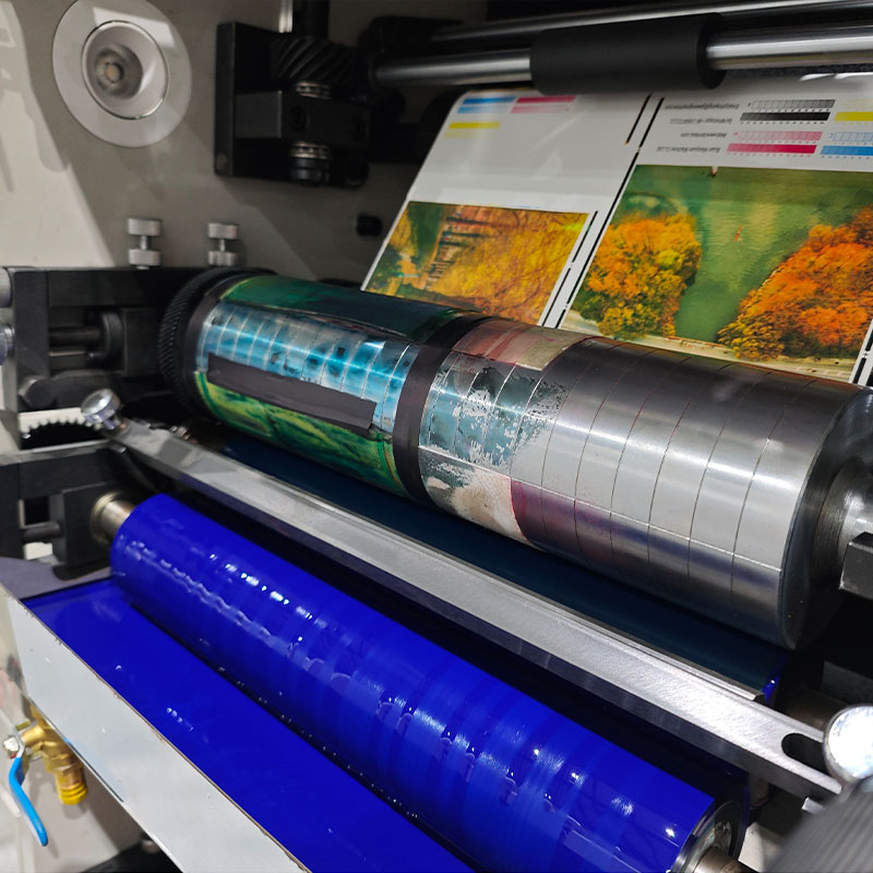 8-Color Flexo Printing Machine with 8 LED UV Automatic Label Printer Letterpress Plate Type for Roll to Roll Paper Printing