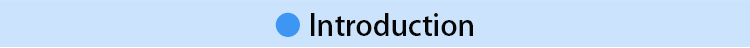 Product Description