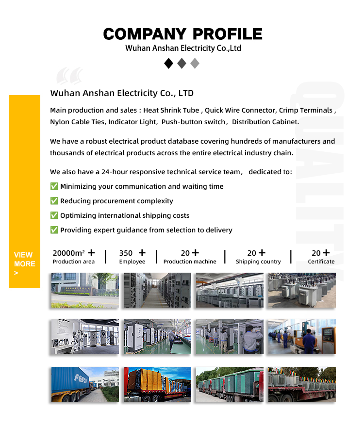 Company overview