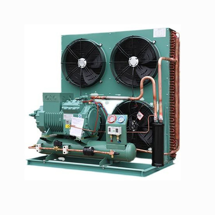 R290/380V Energy Saving Eco-Friendly Condensing Units for Compressors Microcomputer Control Key Motor Components Can Connect