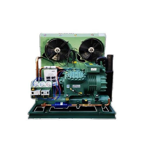R290/380V Energy Saving Eco-Friendly Condensing Units for Compressors Microcomputer Control Key Motor Components Can Connect