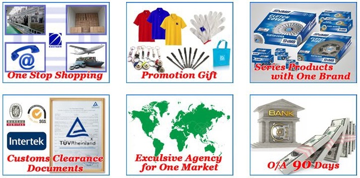 Why Choose Us