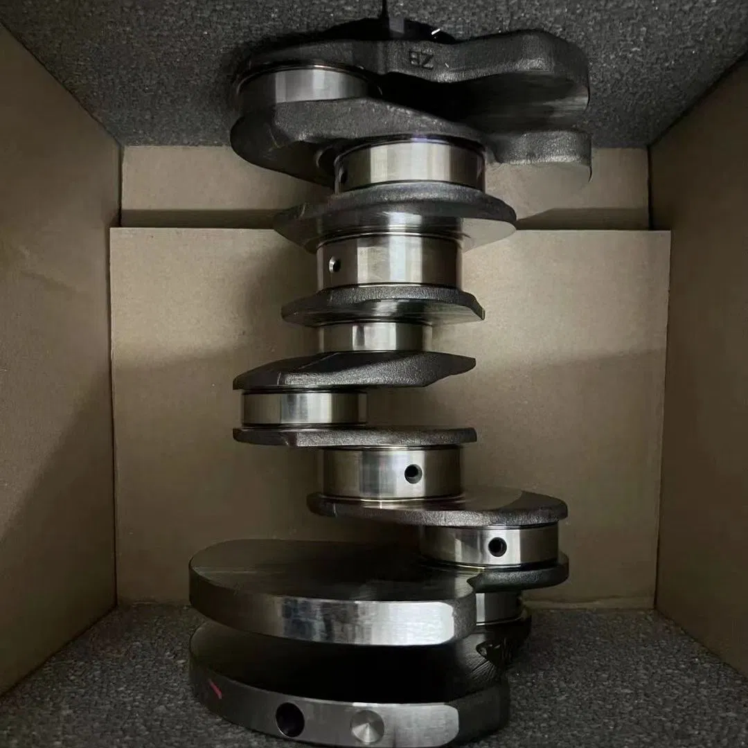 China Dx Drivetrain High Quality Crankshaft Engine Part for Hot Selling