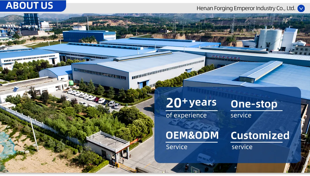 Professional Custom Forging Factory Facility