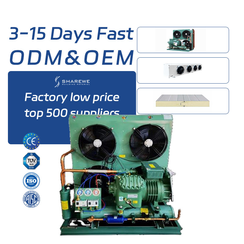 R290/380V Energy Saving Eco-Friendly Condensing Units for Compressors Microcomputer Control Key Motor Components Can Connect