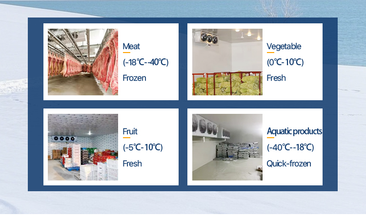 Industrial Cold Room Solution