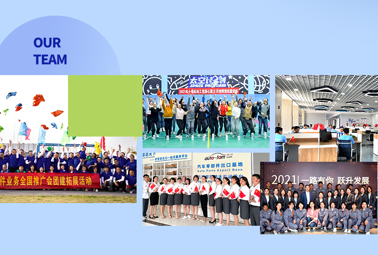 Our Professional Team