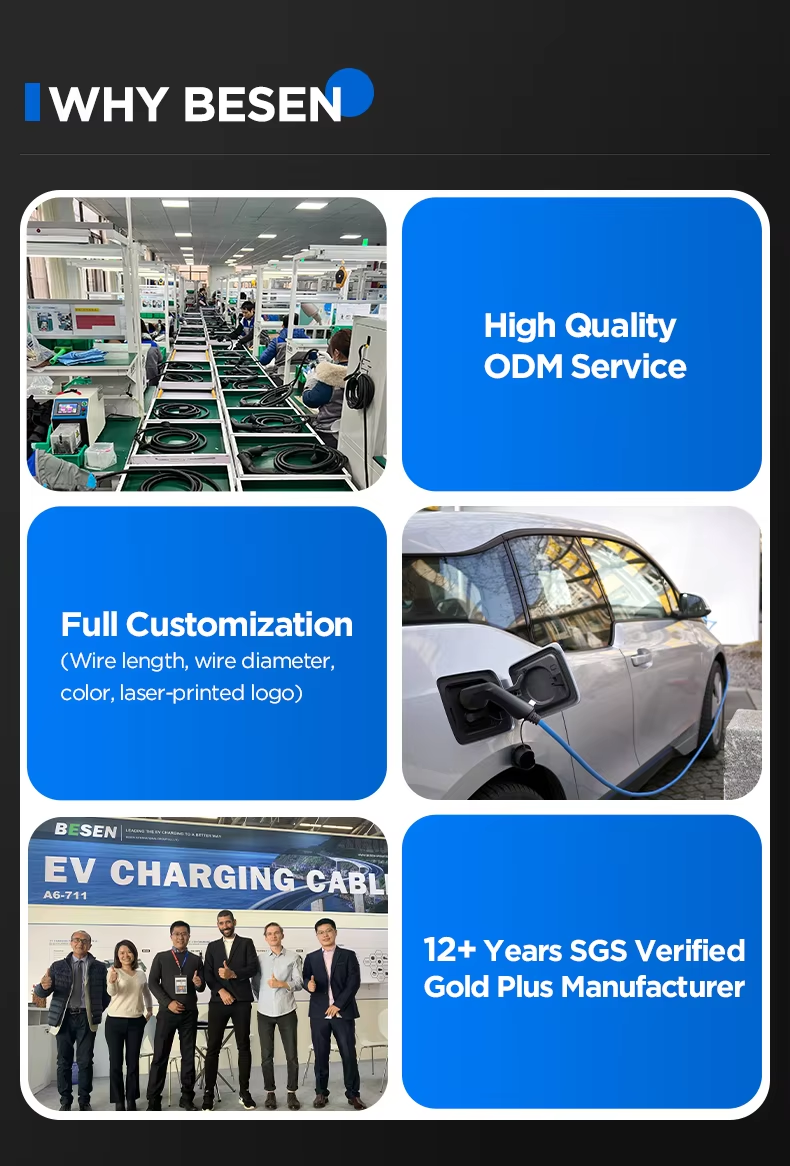 Why Choose Us