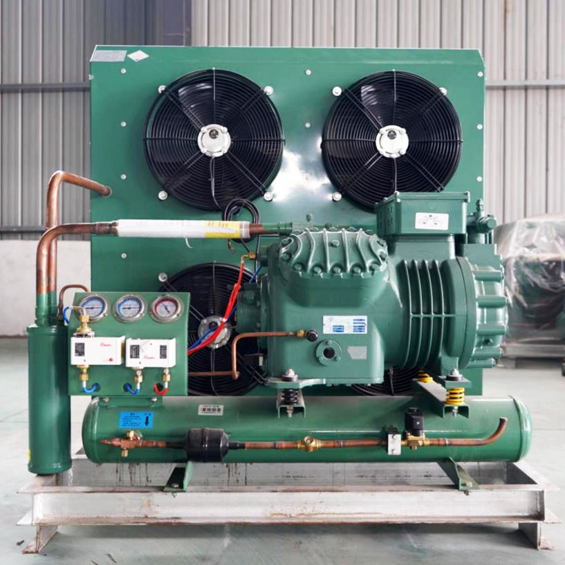 R290/380V Energy Saving Eco-Friendly Condensing Units for Compressors Microcomputer Control Key Motor Components Can Connect