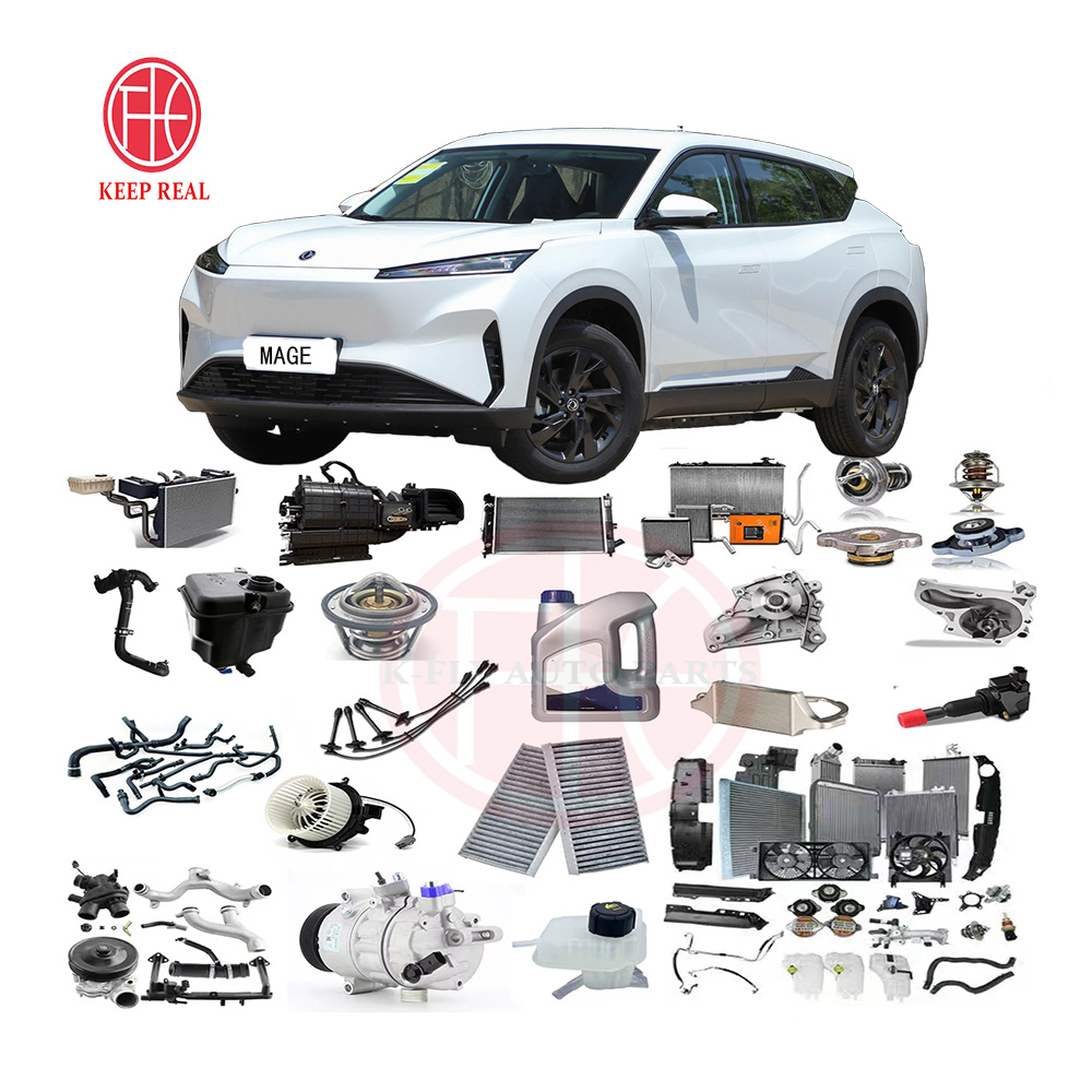 Chinese Electric Car Parts Auto Parts Supplier for Dongfeng Foting Mage EV Full Vehicle Parts