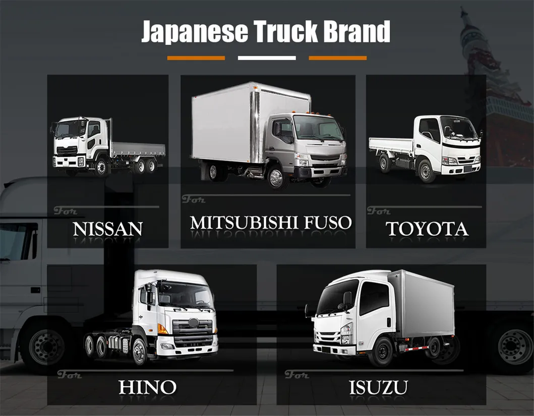 Spare Truck Parts Engine/Brake/Chassis/ Body /Electrical Truck Parts for Mercedes-Benz/Volvo/Man/Scan/Renault/Daf/Iveco/ Isuzu/ Mitsubishi/ Hino/Hyundai