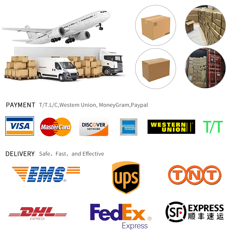 Payment and Shipping