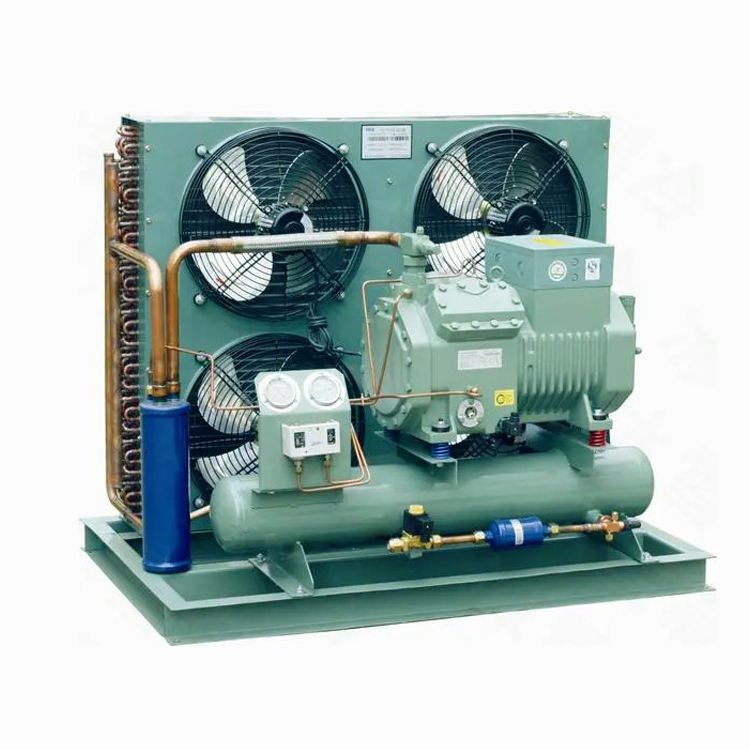 R290/380V Energy Saving Eco-Friendly Condensing Units for Compressors Microcomputer Control Key Motor Components Can Connect