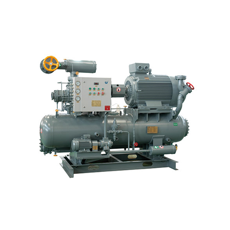 High Efficiency Large Capacity Industrial Compressor Unit Ammonia Refrigeration System with Pump Gear Core Components