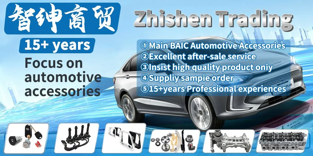 Baic Auto Spare Auto Part Accessory