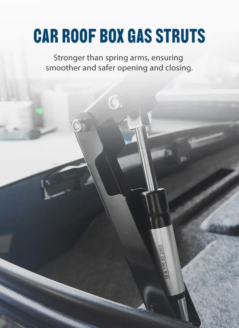 Roof Box Detail 5