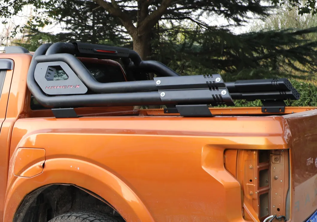 Roll Bar Detail 2