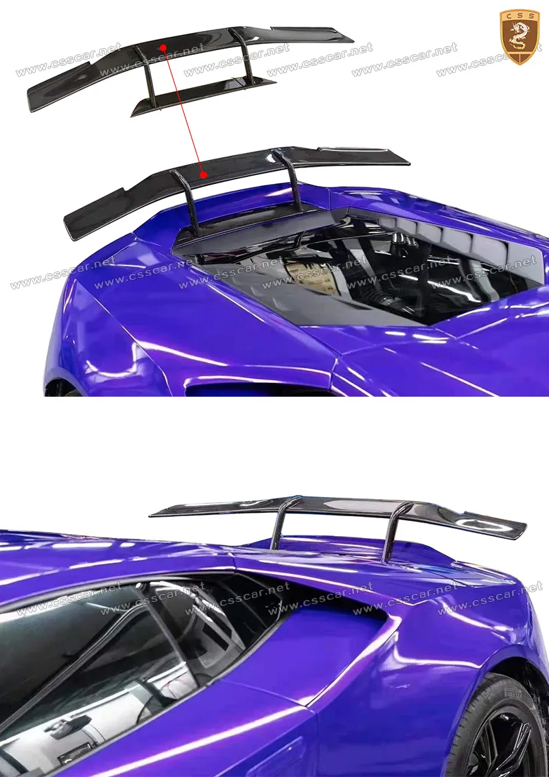 Rear Wing View 2
