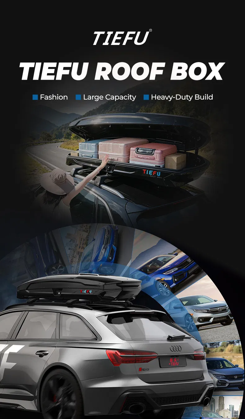 Roof Box Detail 1