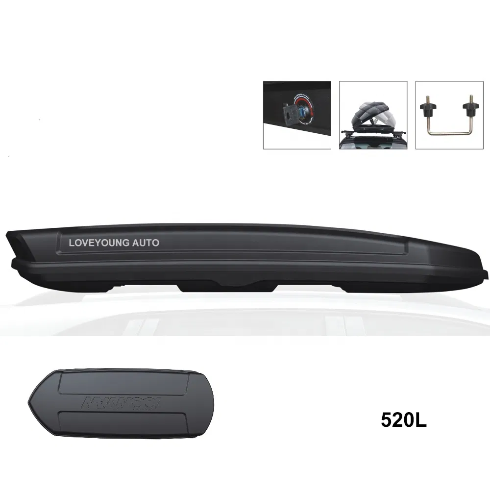 Car Roof Box View 1