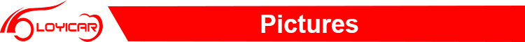 Banner Line