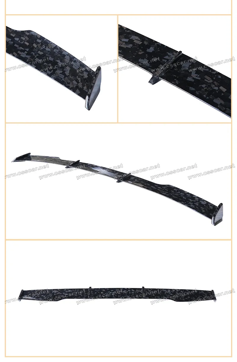Spoiler Wing View 4