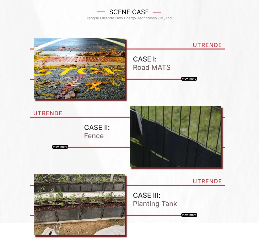 Scene Case