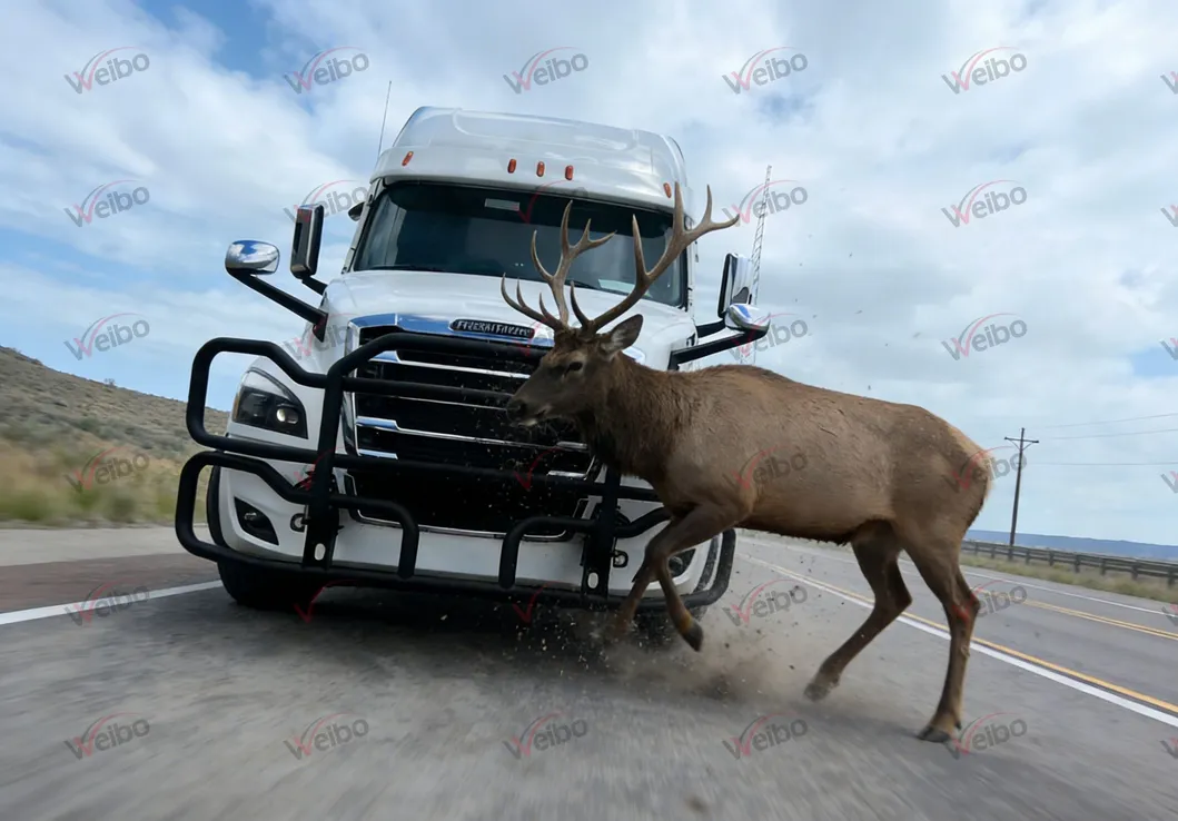 Truck Front Grille Guard 2