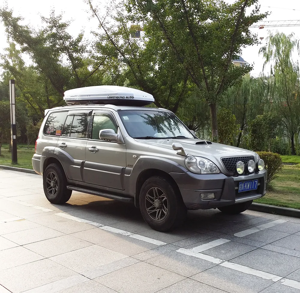 Auto Cargo Car Roof Box
