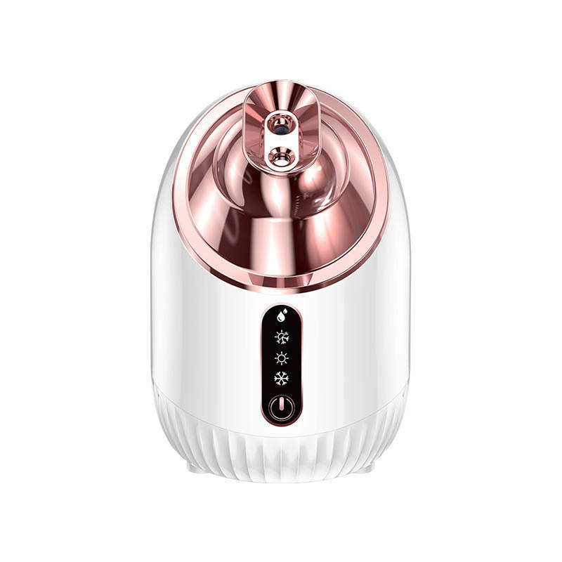 Atacado OEM 240ml Vaporizador Facial Nano Iônico Quente Frio Hidratação Profunda Dispositivo de Beleza SPA