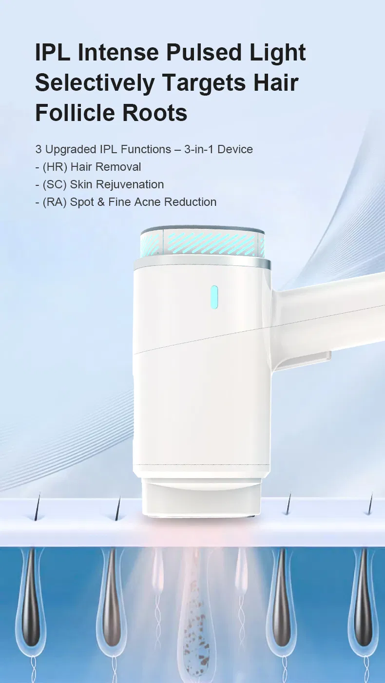 Energia IPL