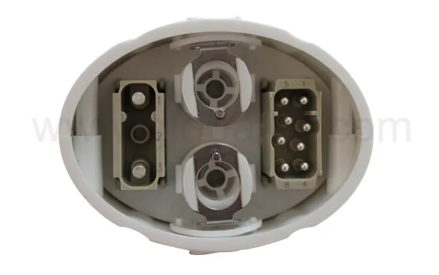 Novo Manípulo e Conector