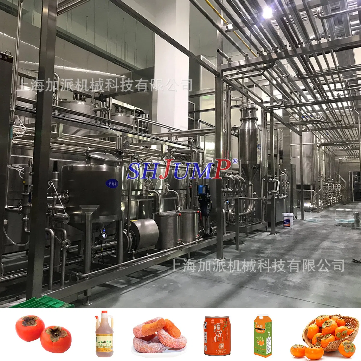 Equipamento de Extração de Plantas Sistema de Concentração e Extração de Medicina Tradicional Chinesa