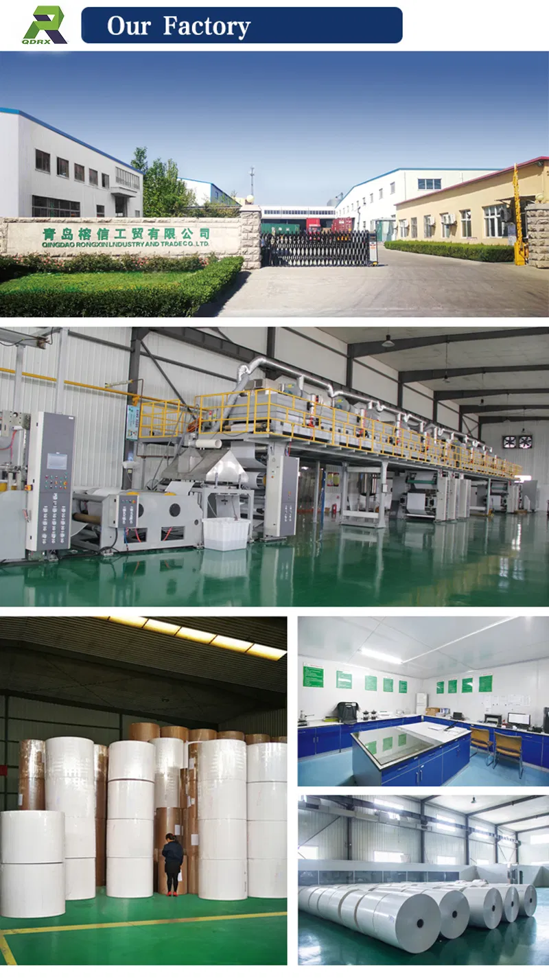 Processo de Produção Papel Laminado de PE