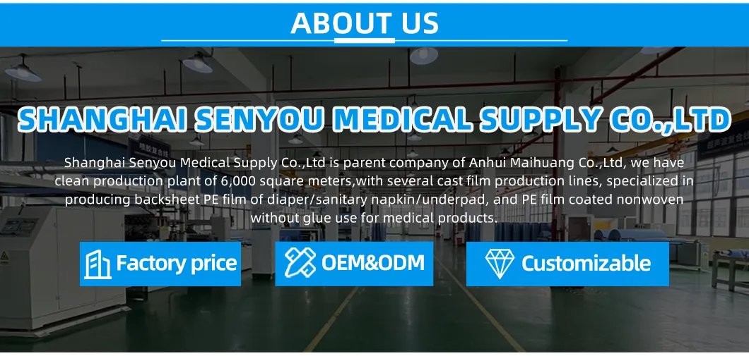 Company overview