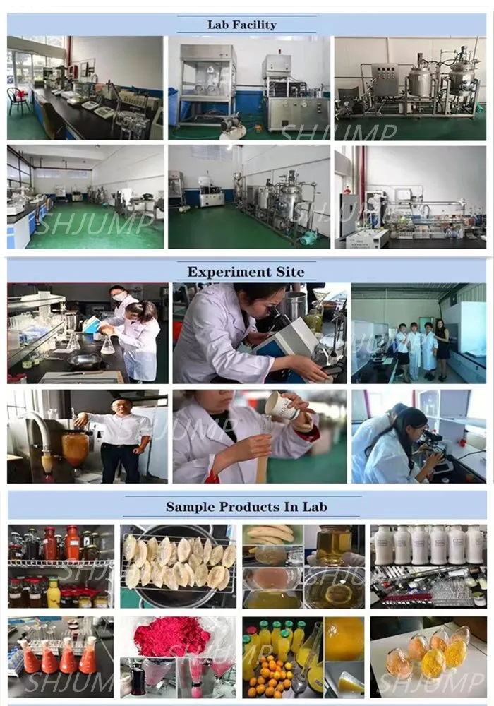Laboratório piloto