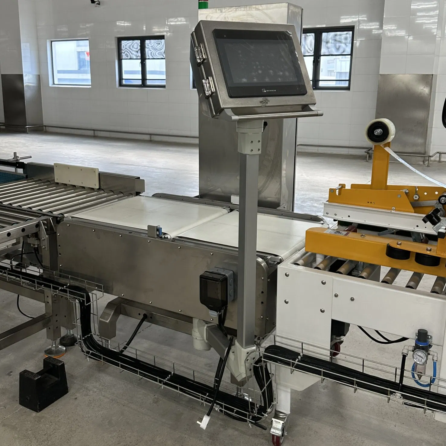 Sistema de Pesagem Automático Totalmente Automático Balança Industrial para Caixas