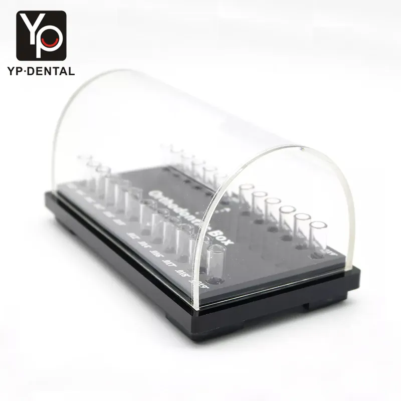 Organizador de Acrílico Dental 3