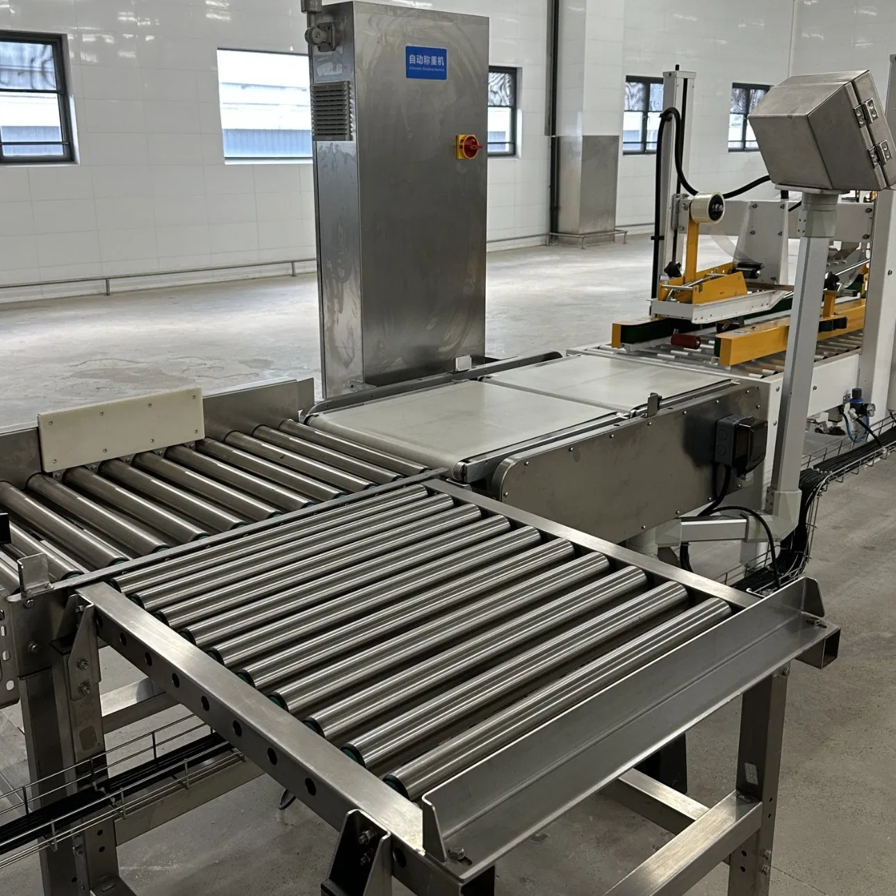Sistema de Pesagem Automático Totalmente Automático Balança Industrial para Caixas