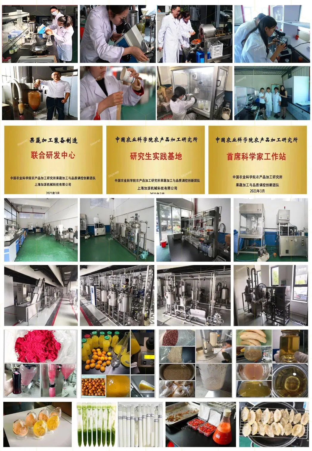 Linha de Processamento de Purê de Kiwi Industrial CE ISO: Lavagem, Classificação, Trituração, Extração de Polpa, Enzimólise, Homogeneização, Esterilização, Sistema de Embalagem