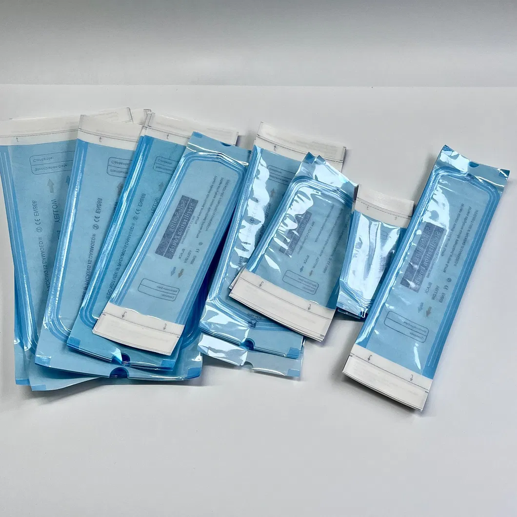 Esterilização Pouch 2