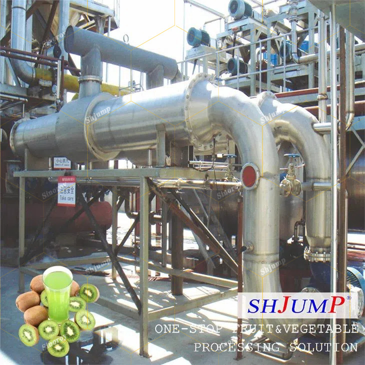 Linha de Processamento de Purê de Kiwi Industrial CE ISO: Lavagem, Classificação, Trituração, Extração de Polpa, Enzimólise, Homogeneização, Esterilização, Sistema de Embalagem