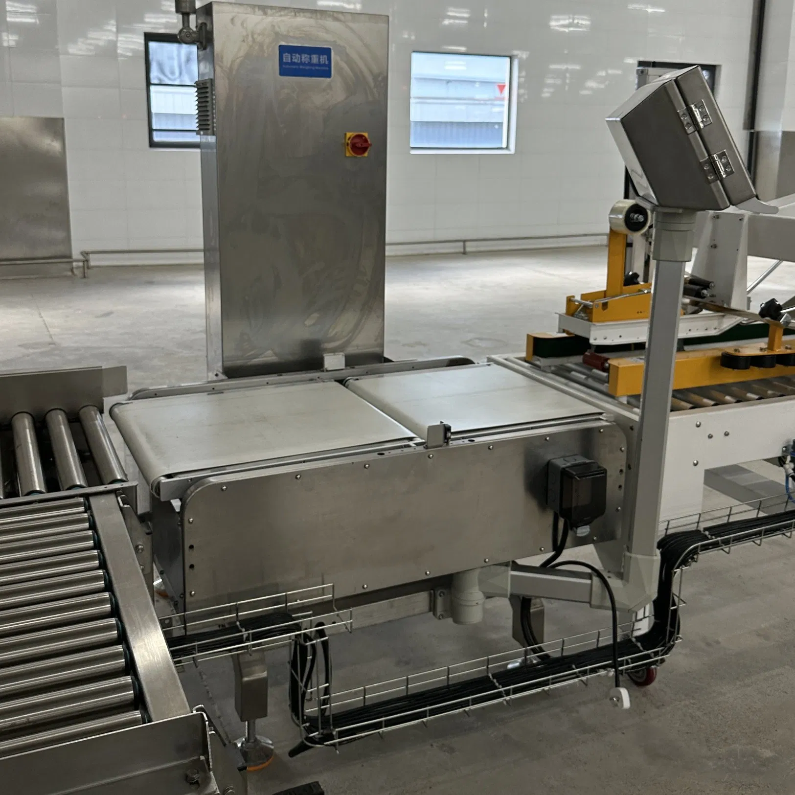 Sistema de Pesagem Automático Totalmente Automático Balança Industrial para Caixas