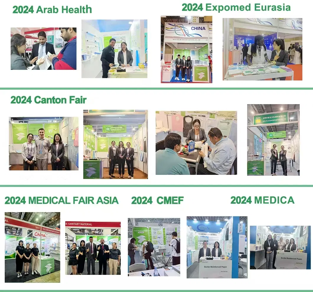 Exposições