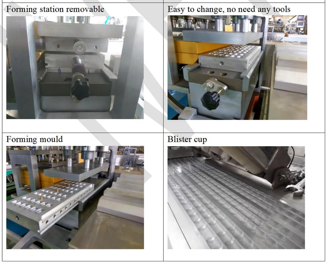 Detalhe 2