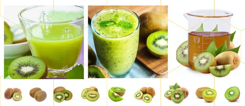 Processamento de Kiwi 1