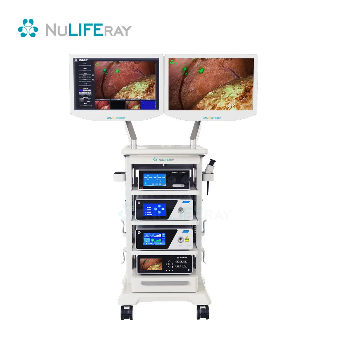 High-Resolution Medical Equipment: 4K Endoscopic Fluorescence Imaging and Analysis