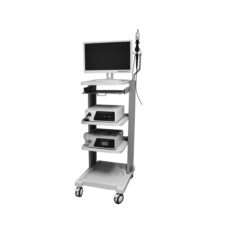 Medical Surgical Equipment Ent Endoscopy with Full HD